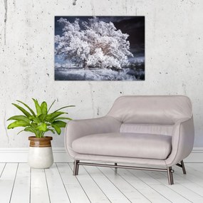Tablou pe sticlă - Albă ca Zăpada Copac (70x50 cm)