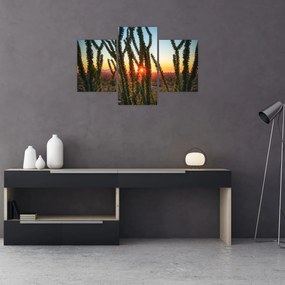 Tablou - Plante (90x60 cm)