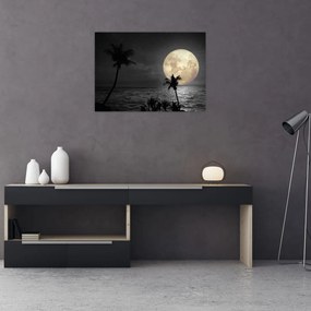 Tablou - Plaja cu lună plină, nuanțe gri (70x50 cm)