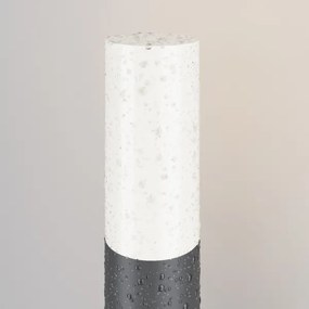 Lampă de exterior Maytoni O418FL-01GR1 WILLIS 1xE27/60W/230V 80 cm IP54 antracit