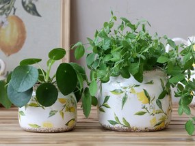Ghiveci din ceramică, pictat manual, crem, H13/D15.5 cm, Limone