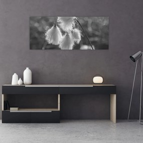 Tablou - Iarba de bumbac (120x50 cm)