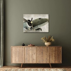 Tablou - Avion vechi cu elice (70x50 cm)