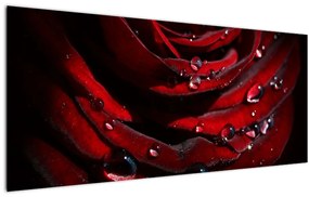 Tablou - Trandafir (120x50 cm)