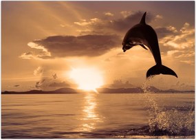 Tablou - Delfin la apus de soare (70x50 cm)