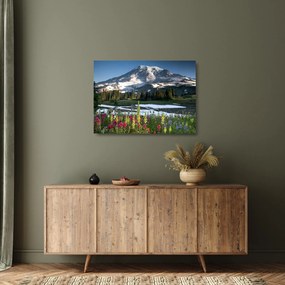 Tablou pe sticlă - Muntele Rainier (70x50 cm)