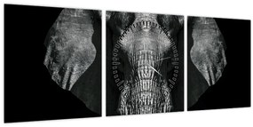 Tablou - Elefant pe fundal negru (cu ceas) (90x30 cm)
