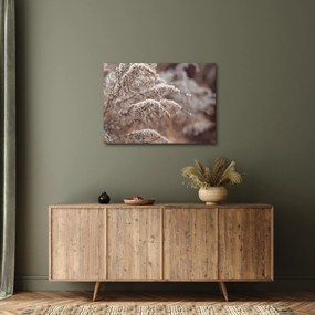 Tablou cu plante (70x50 cm)