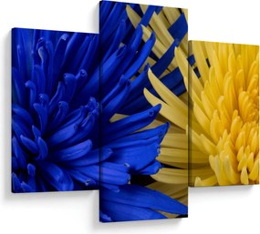 Tablou - detaliu florilor (90x60 cm)