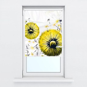 Fotojaluzele R015434R42150 (42x150 cm)