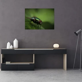 Tablou - Musca (70x50 cm), în 40 de alte dimensiuni noi