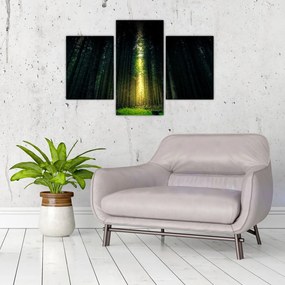 Tablou cu pădurea întunecată (90x60 cm)