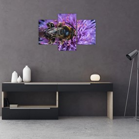 Tablou cu albina pe floare (90x60 cm)