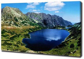 Tablou canvas Valley în munți