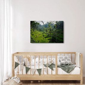 Tablou cu terasele cu orez Tegalalang, Bali (90x60 cm)