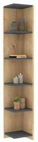 Bibliotecă Porto Anthracite and Sapphire