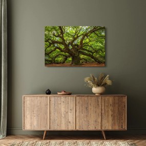 Tablou - Copac verde (90x60 cm)