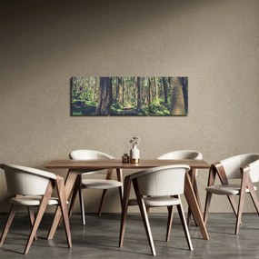 Tablou cu drum între copaci (cu ceas) (90x30 cm)