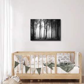 Tablou pe sticlă - Lup în pădurea întunecată (70x50 cm)