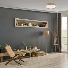 Brilagi - Plafonier MANAROLA SMART LED 24W 230V cu telecomandă Tuya