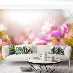 Fototapet margarete Flori