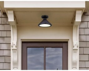 Plafonieră de exterior Westinghouse 61238 WALTER 1xE27/60W/230V IP44