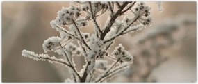 Tablou - Plantează în îngheț (120x50 cm)