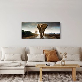 Tablou cu elefant (120x50 cm)