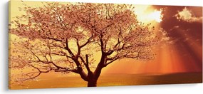 Tablou cu razele lui Dumnezeu (120x50 cm)