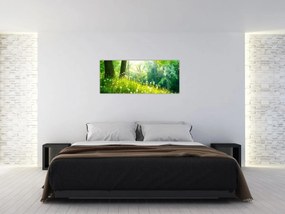 Tablou - Pajiște magică plină de păpădii (120x50 cm)