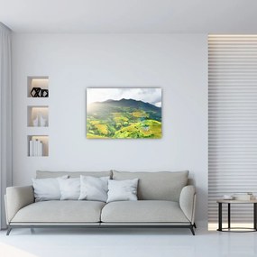 Tablou plantație (90x60 cm)