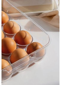 Organizator de frigider pentru ouă din plastic 23x17,5 cm – Casa De Engel