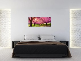 Tablou - Cireși înfloriți, Hurd Park, Dover, New Jersey (120x50 cm)