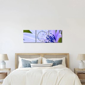 Tablou - Floare (cu ceas) (90x30 cm)