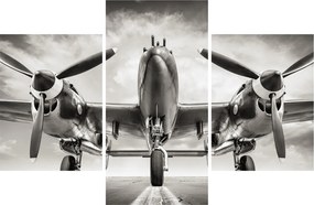 Tablou - Warbird (90x60 cm)