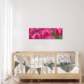Tablou - Lalele roz (cu ceas) (90x30 cm)