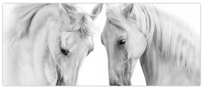 Tabou - Cai albi (120x50 cm)