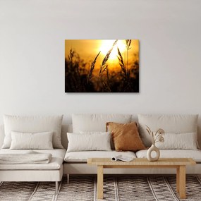 Tablou - Apus de soare (70x50 cm)