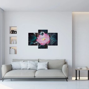 Tablou cu floare roz (90x60 cm)