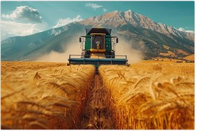 Tablou - Zemedelec (90x60 cm)