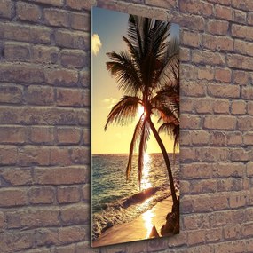 Tablou sticlă acrilică Plaja tropicala