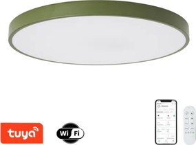 Brilagi-LED Stm Lampă pentru piscină POOL SMART LED/100W/230V 80 cm Wi‑Fi Tuya+telecomandă verde