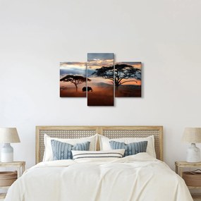 Tablou - Parcul Național Serengeti, Tanzania, Africa (90x60 cm)