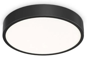 Plafoniera LED pentru baie IP44 Ray pl d40 negru
