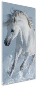 Tablou pe pe sticlă cal alb în galop