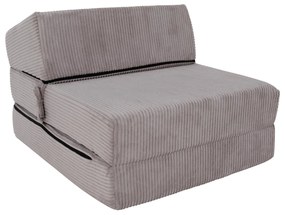 Fotoliu extensibil Plantearan (gri) . 1116447