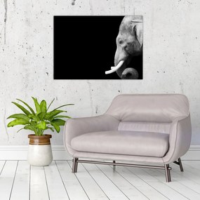 Tablou - Elefant (70x50 cm)