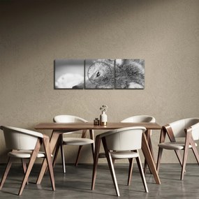 Tablou - Lup,alb-negru (cu ceas) (90x30 cm)