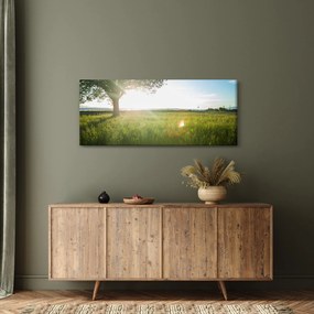 Tablou - Copac în câmp (120x50 cm)