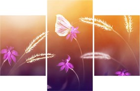 Tablou - Fluture roz (90x60 cm)